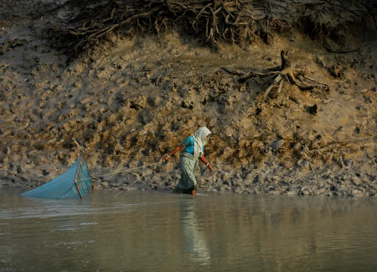 Sundarban